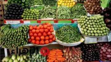 أسعار الطماطم والبطاطس في سوق العبور اليوم الخميس 23 أكتوبر 2025 وأثرها على ميزانية الأسرة